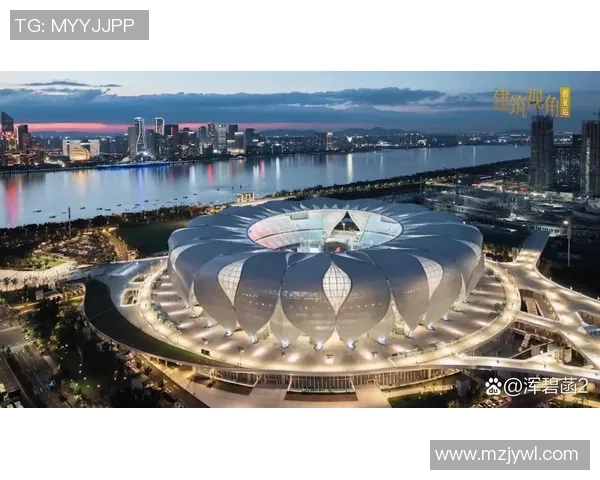 杭州篮球队在世界锦标赛上的拼搏历程与荣耀时刻全景回顾