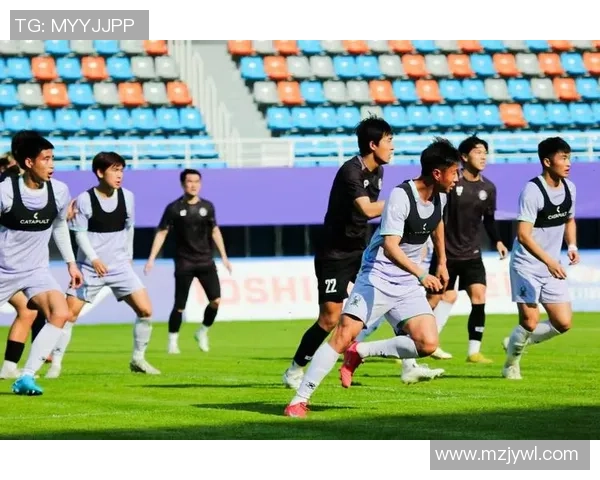 杭州足球队实力分析与数据解读揭示球队竞争力与发展潜力