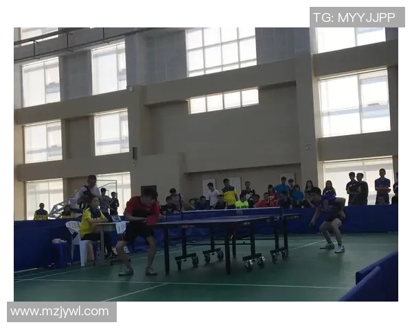 武汉乒乓球队状态分析与未来展望聚焦乒乓球运动发展新机遇 武汉乒乓球队状态分析与未来展望聚焦乒乓球运动发展新机遇