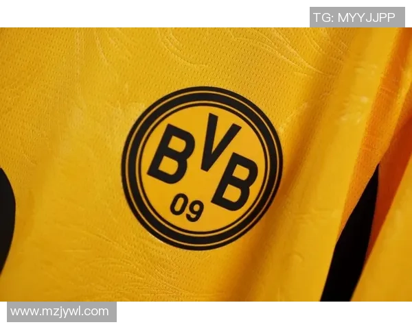 足球明星专属装备展示与欣赏让你领略他们的风采与魅力