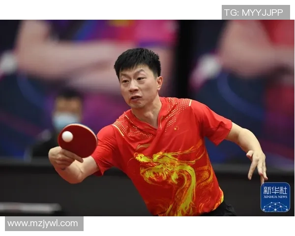 数据分析：成都乒乓球队的实力表现