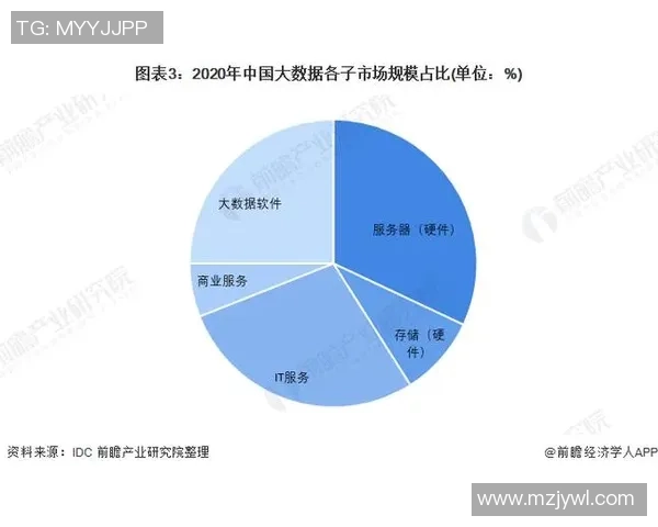数据分析：武汉飞盘队的状态表现